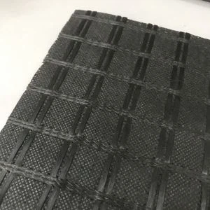 Glasvezel Geogrid met Nonwoven